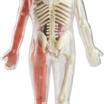 Smartlab Toys Squishy Human Body With 21 Removable Body Parts With Anatomy Book 9781601305572_2