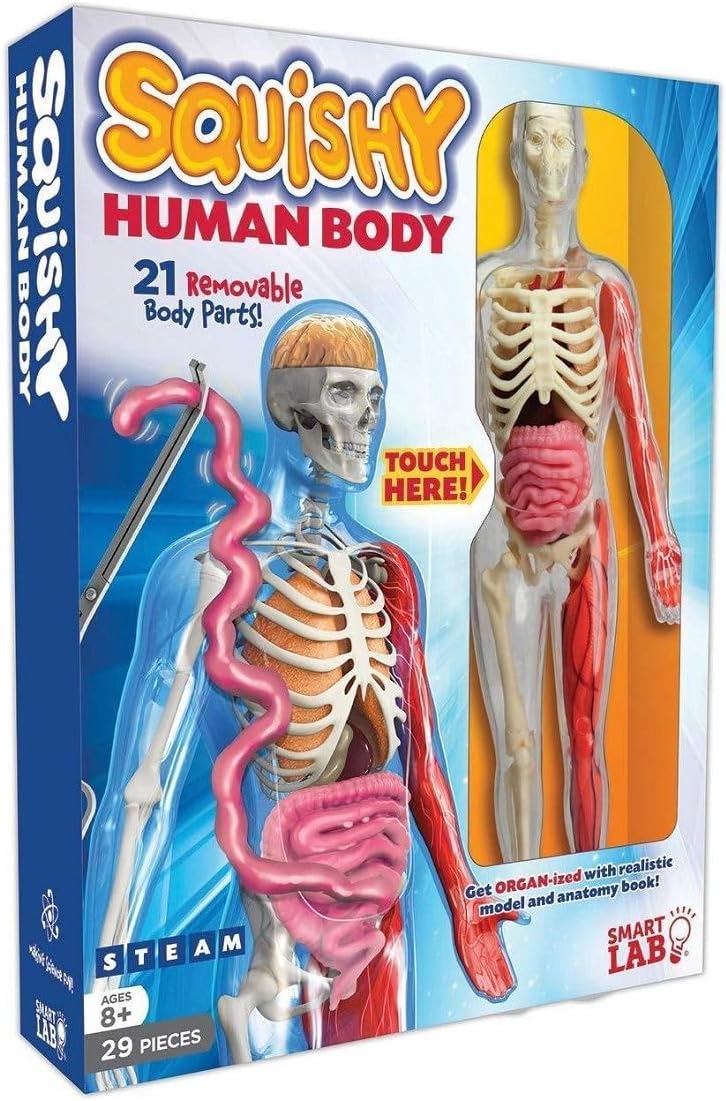 Smartlab Toys Squishy Human Body With 21 Removable Body Parts With Anatomy Book 9781601305572_3