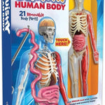 Smartlab Toys Squishy Human Body With 21 Removable Body Parts With Anatomy Book 9781601305572_3