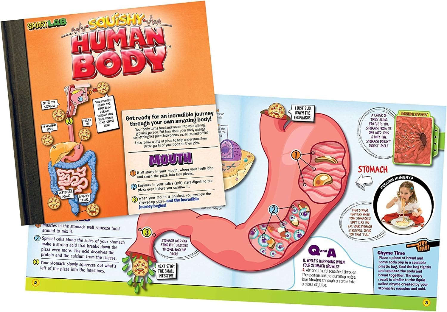 Smartlab Toys Squishy Human Body With 21 Removable Body Parts With Anatomy Book 9781601305572_4
