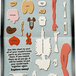 Smartlab Toys Squishy Human Body With 21 Removable Body Parts With Anatomy Book 9781601305572_5