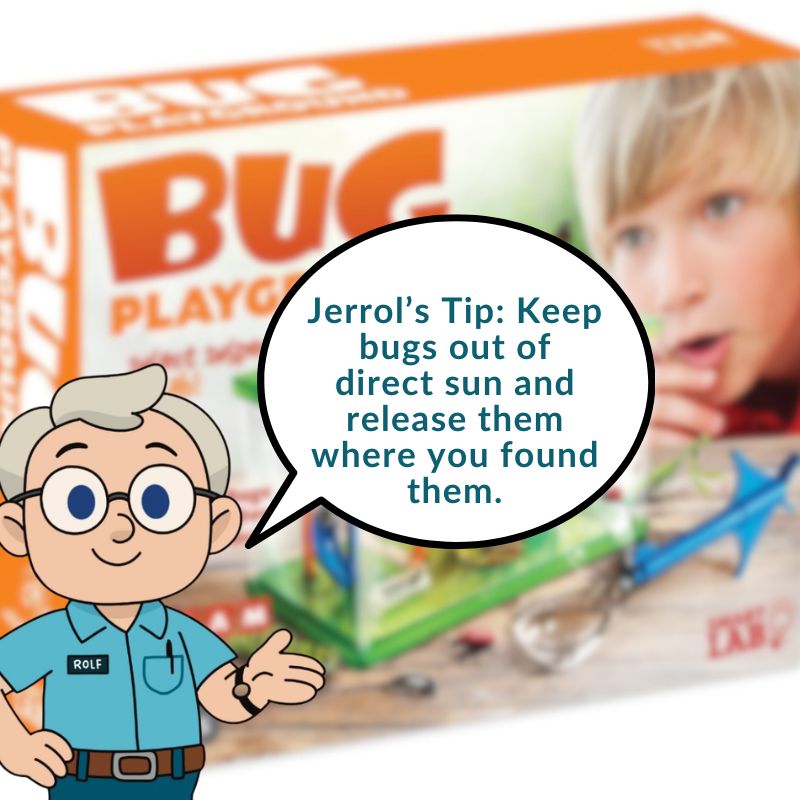 Smart Lab Bug Playground 9781601305657_2_0903b50e-c7a3-407b-8bdf-2ba904c14914