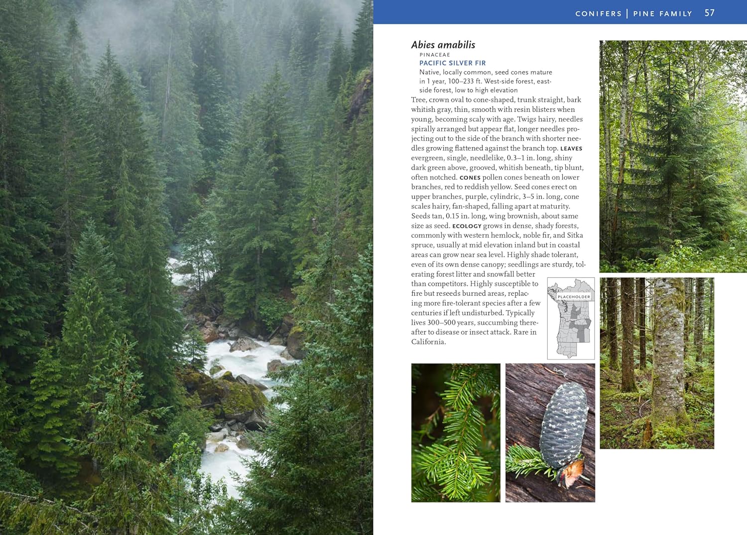 Trees & Shrubs Of The Pacific Northwest by Turner. Mark 9781604692631_5
