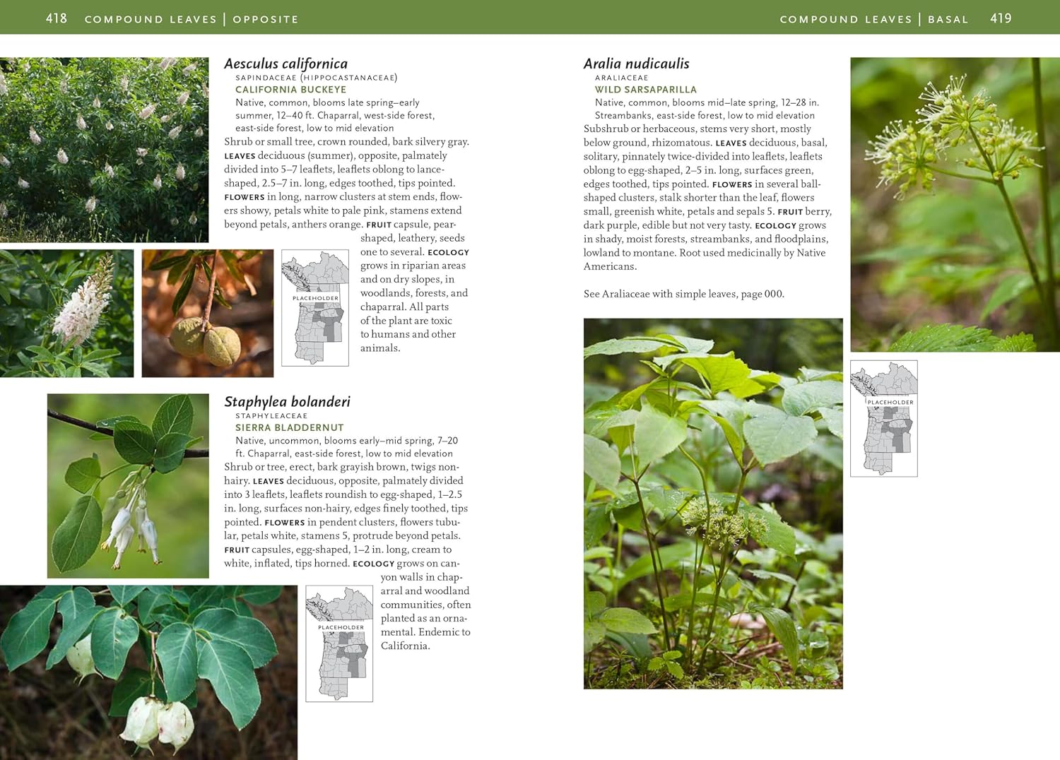 Trees & Shrubs Of The Pacific Northwest by Turner. Mark 9781604692631_6