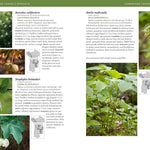 Trees & Shrubs Of The Pacific Northwest by Turner. Mark 9781604692631_6