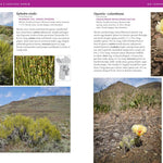 Trees & Shrubs Of The Pacific Northwest by Turner. Mark 9781604692631_7