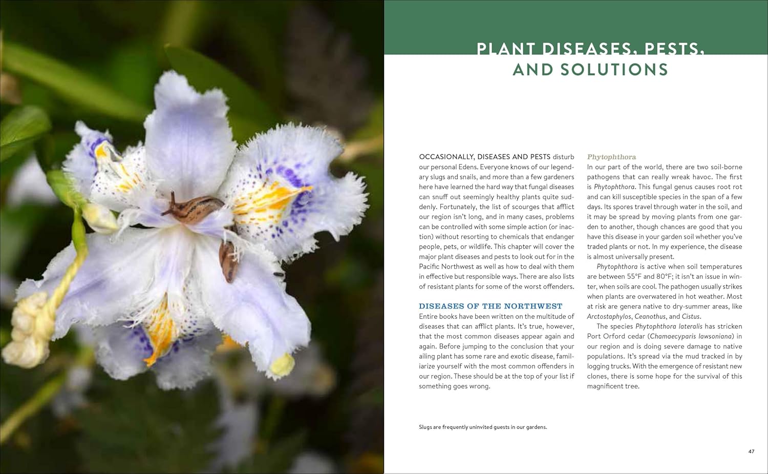 Gardening In The Pacific Northwest by Bonnie. Paul 20 9781604693331_4_b81724bc-f8cd-4e4b-99f2-578058f940e2