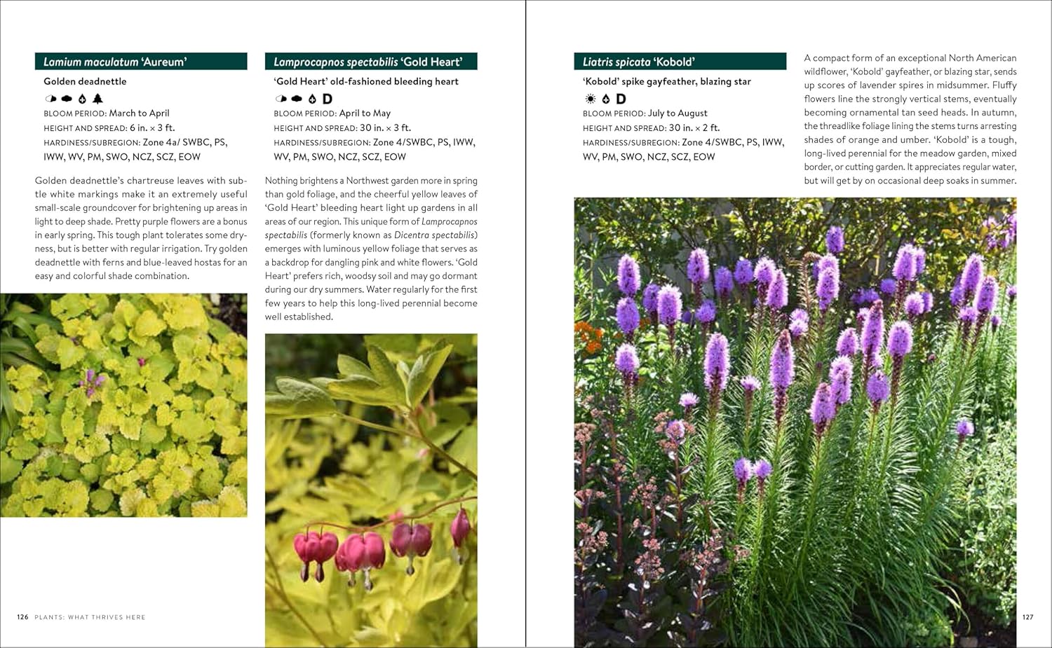 Gardening In The Pacific Northwest by Bonnie. Paul 20 9781604693331_5_83348f0d-3888-494b-ad96-3ee47028682b