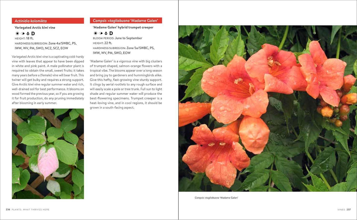 Gardening In The Pacific Northwest by Bonnie. Paul 20 9781604693331_7