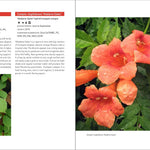 Gardening In The Pacific Northwest by Bonnie. Paul 20 9781604693331_7_52b14012-6ffe-4e5b-b641-27ad824b3d6e