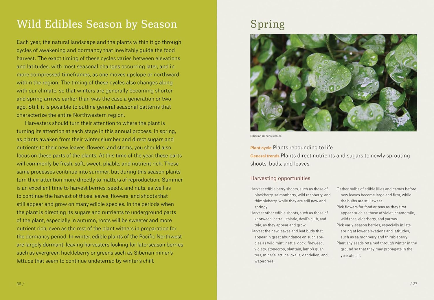 Pacific Northwest Foraging by Deur. Douglas 9781604693522_5