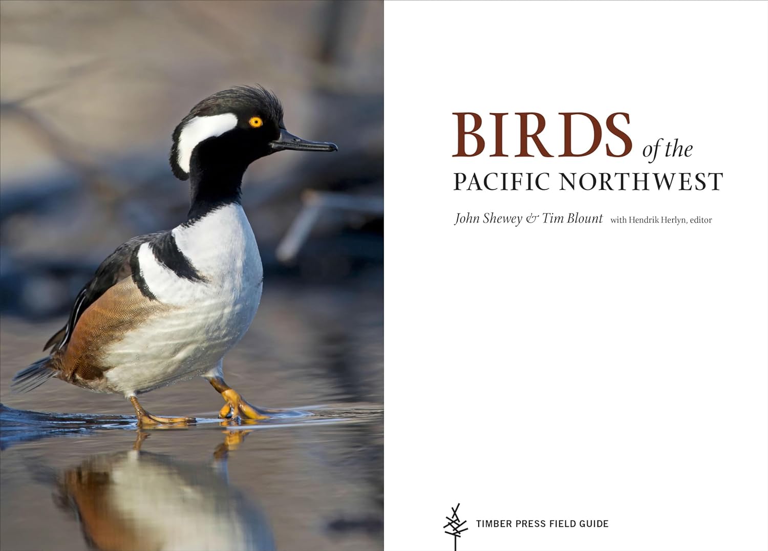 Birds Of The Pacific Northwest by Shewey. John 9781604696653_2