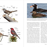 Birds Of The Pacific Northwest by Shewey. John 9781604696653_4