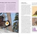 Birds Of The Pacific Northwest by Shewey. John 9781604696653_5