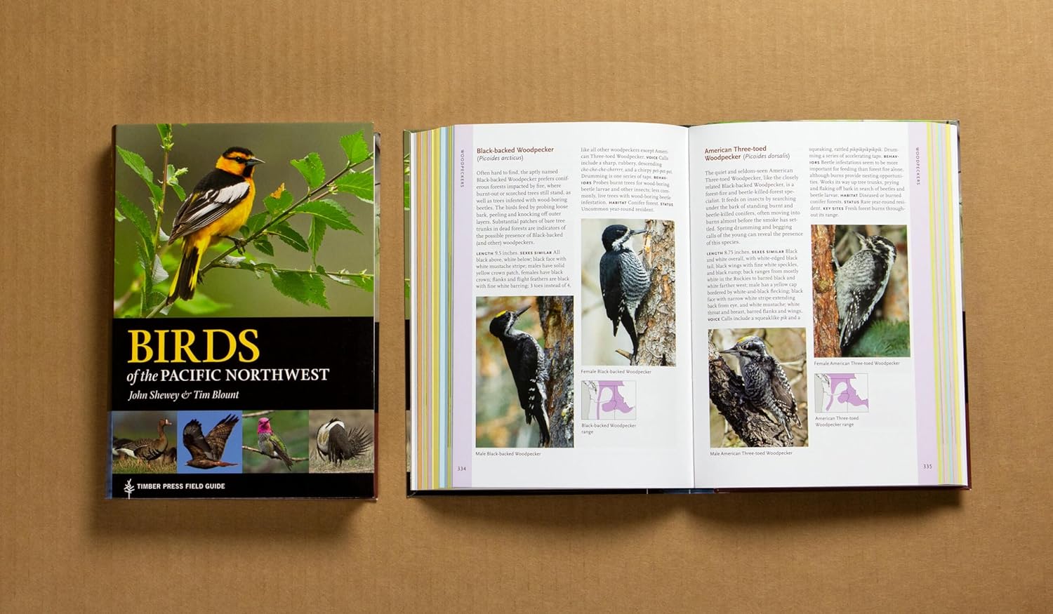 Birds Of The Pacific Northwest by Shewey. John 9781604696653_7