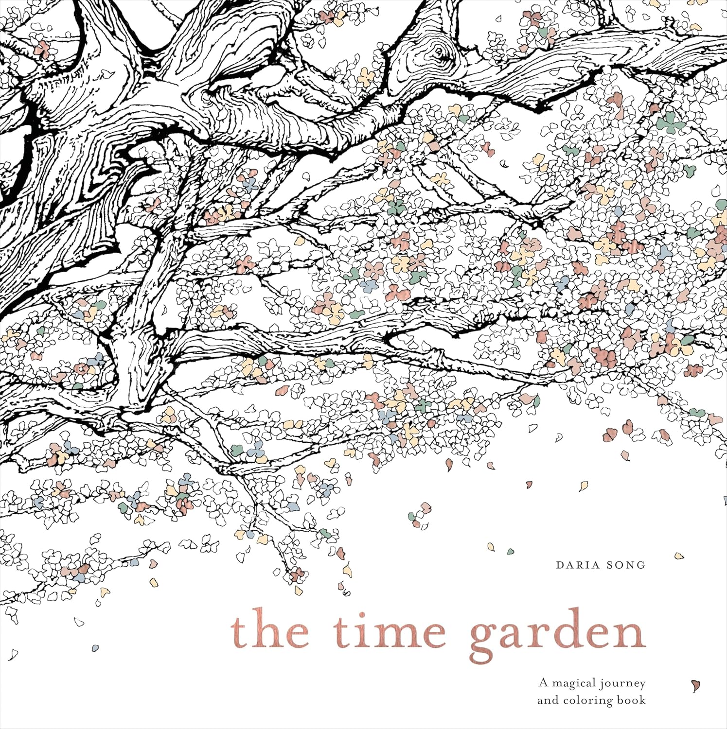 The Time Garden: A Magical Journey And Coloring Book by Song. Daria 20 9781607749608