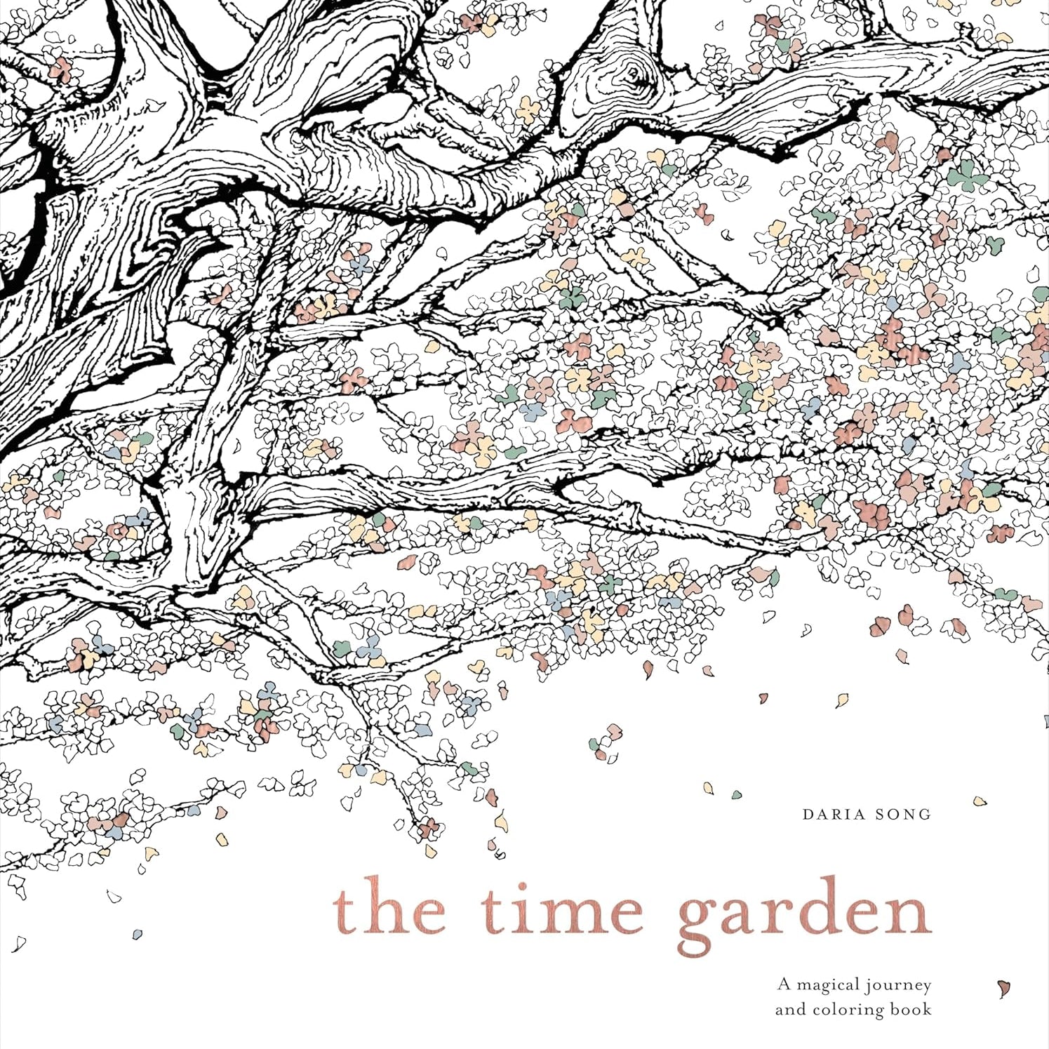 The Time Garden: A Magical Journey And Coloring Book by Song. Daria 20 9781607749608_85937037-cc0e-4d34-99e7-2491119e7497