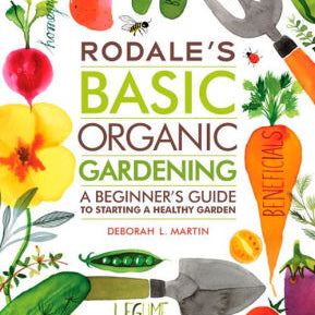 Rodale's Basic Organic Gardening: A Beginner's Guide To Starting A Healthy Garde 9781609619831_535b7a13-52a2-4098-a1c5-c04445f751d3