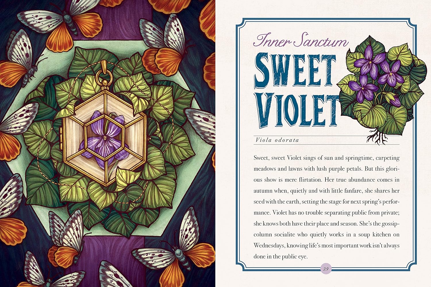 The Illustrated Herbiary: Guidance And Rituals From 36 Bewitching Botanicals by 9781612129686_2