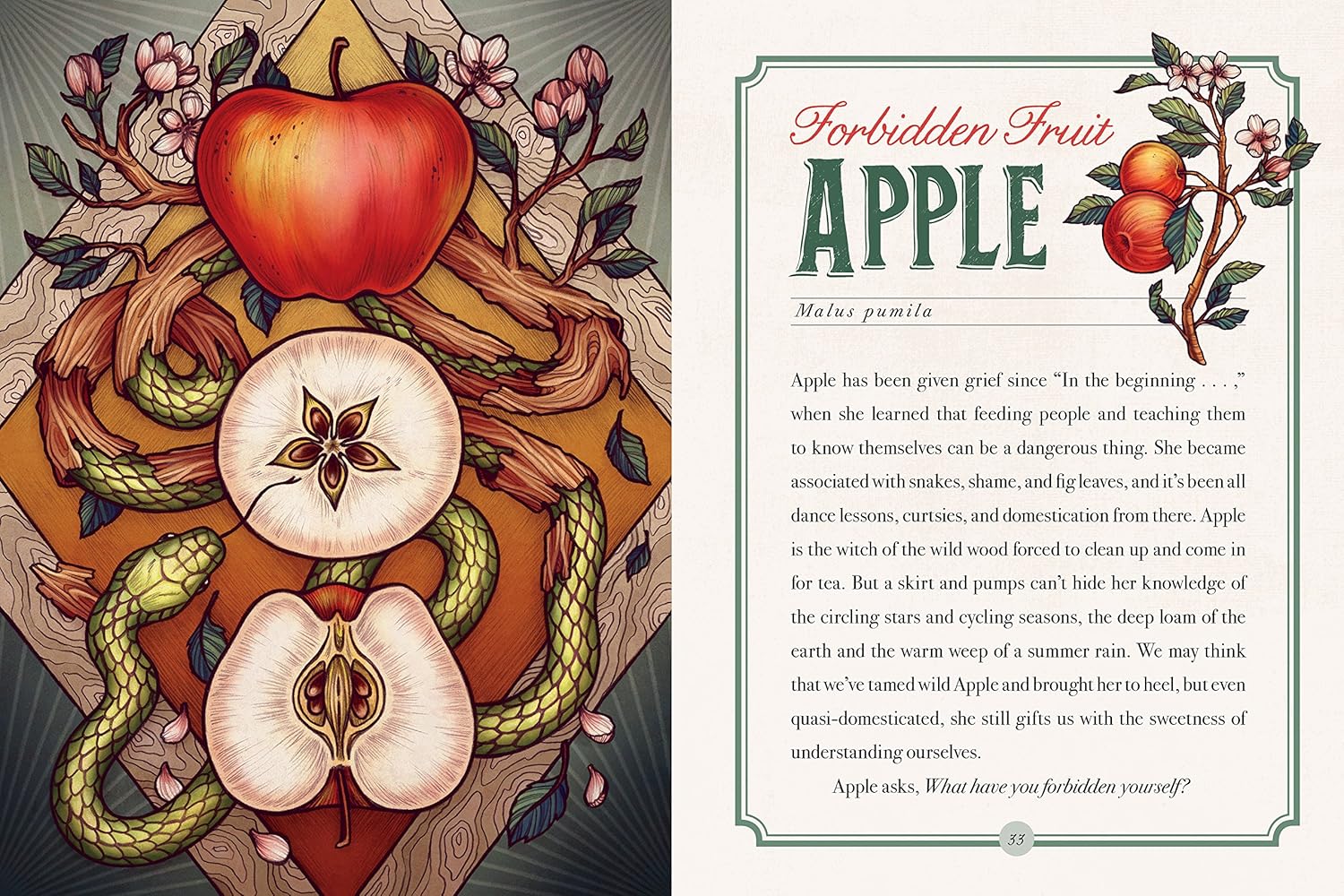 The Illustrated Herbiary: Guidance And Rituals From 36 Bewitching Botanicals by 9781612129686_4