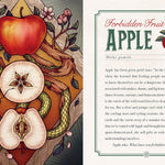 The Illustrated Herbiary: Guidance And Rituals From 36 Bewitching Botanicals by 9781612129686_4