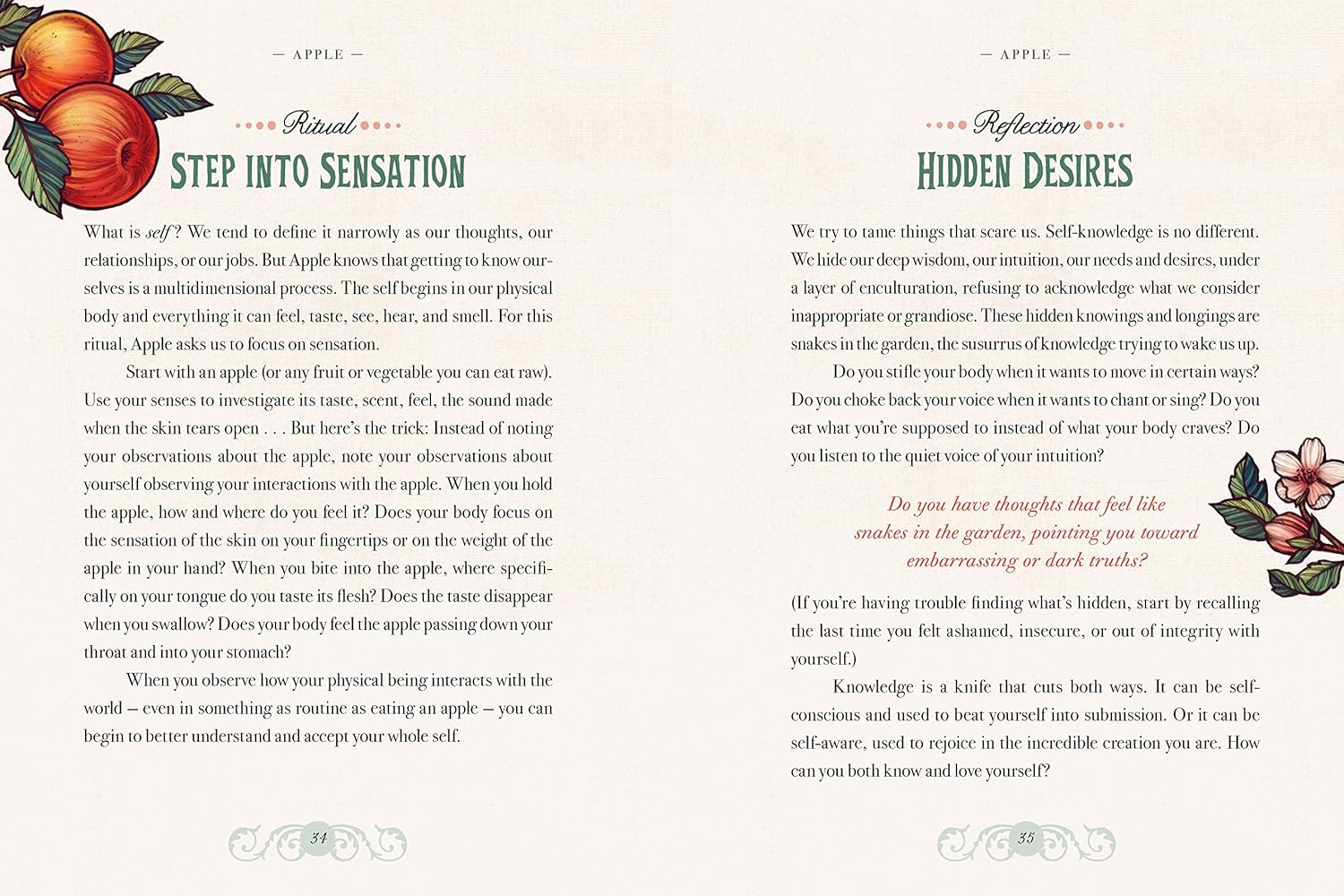 The Illustrated Herbiary: Guidance And Rituals From 36 Bewitching Botanicals by 9781612129686_5
