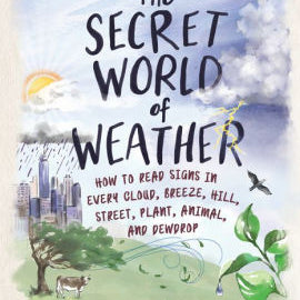 The Secret World Of Weather by Gooley. Tristan 9781615197545_82f2d2ef-b54e-4907-b40f-cf2f7e0be339
