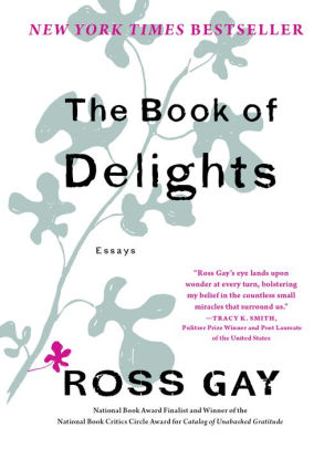 The Book Of Delights by Gay. Ross 9781616207922_10d7b6d3-996b-4520-bb6d-4ee2fc587d1e
