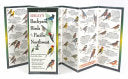 Sibley's Backyard Birds Of Pacific Northwest by Sibley. David Allen ; Sibley. Da 9781621261193_0f2a91c9-228b-4ba9-8ebe-299eb00516ae
