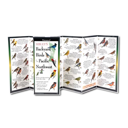 Sibley's Backyard Birds Of Pacific Northwest by Sibley. David Allen ; Sibley. Da 9781621261193_784e5eb0-c253-41df-b8f3-8f9de176b4dd