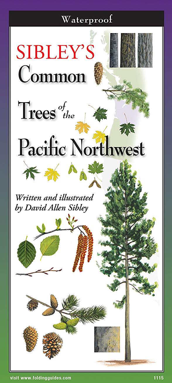 Sibley's Trees Of Pacific Northwest by Sibley, David 9781621261711_045fda4e-4d57-4066-8c90-38f589c89358