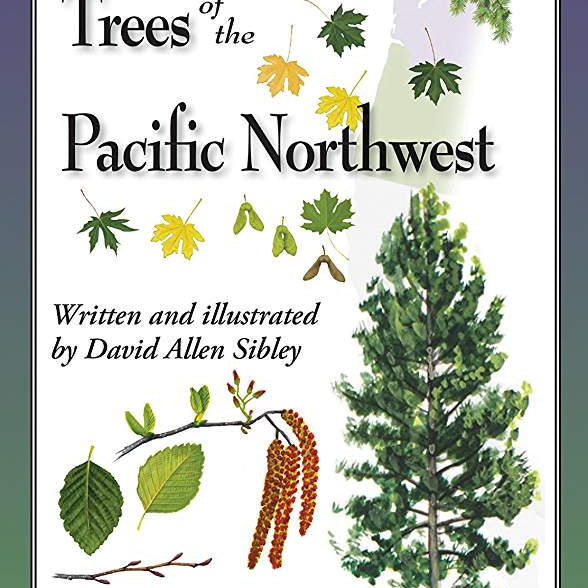 Sibley's Trees Of Pacific Northwest by Sibley, David 9781621261711_045fda4e-4d57-4066-8c90-38f589c89358