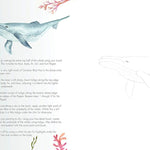 Watercolor With Me In The Ocean - Fox. Dana 20 9781624148576_3_011d284f-505c-4863-bab9-477d0a09e7b4