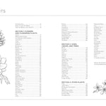 Draw Like An Artist: 100 Flowers And Plants - Washburn. Melissa 9781631597558_1