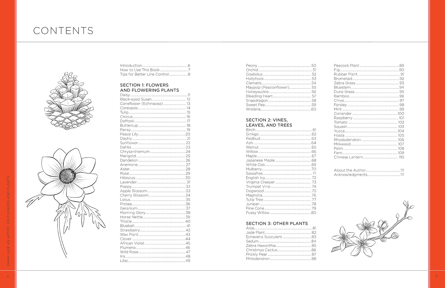 Draw Like An Artist: 100 Flowers And Plants - Washburn. Melissa 9781631597558_1