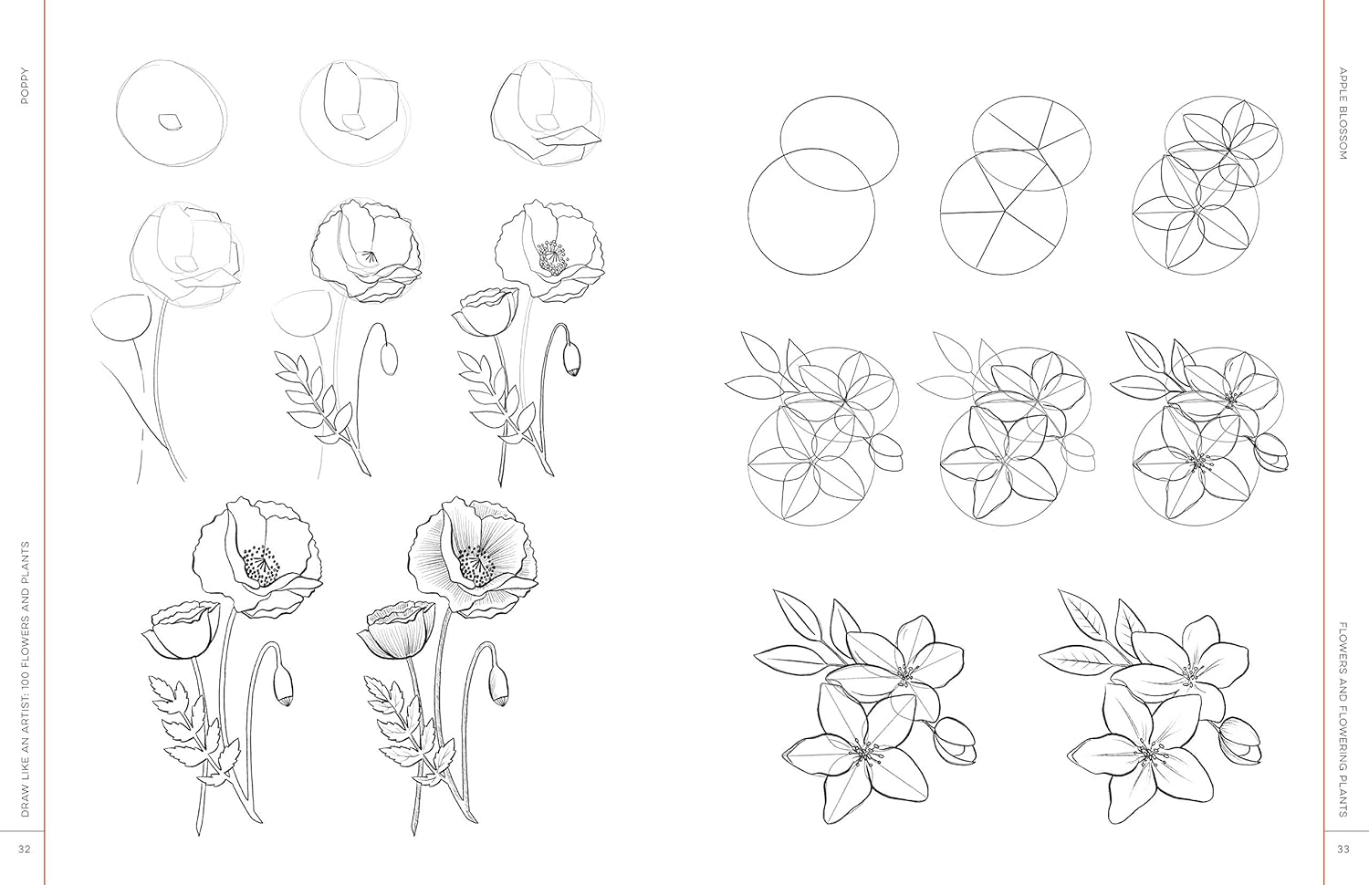 Draw Like An Artist: 100 Flowers And Plants - Washburn. Melissa 9781631597558_4_2b223208-2c1f-450b-9f52-3a8e6c9a44ca