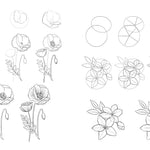 Draw Like An Artist: 100 Flowers And Plants - Washburn. Melissa 9781631597558_4_944ca75e-bb67-4bb6-86fb-31fb7cce8faf
