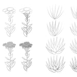 Draw Like An Artist: 100 Flowers And Plants - Washburn. Melissa 9781631597558_5
