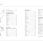 Draw Like An Artist: 100 Realistic Animals - Washburn. Melissa 9781631598197_1
