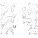 Draw Like An Artist: 100 Realistic Animals - Washburn. Melissa 9781631598197_2