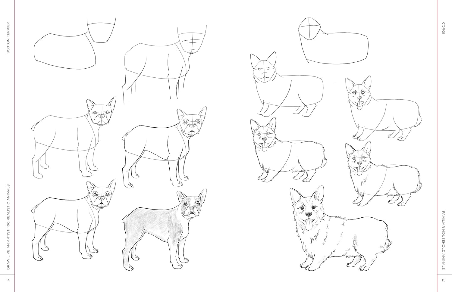 Draw Like An Artist: 100 Realistic Animals - Washburn. Melissa 9781631598197_2_1d4fae75-34c7-47c9-aa11-c18fe90a8b1f