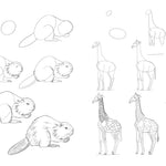 Draw Like An Artist: 100 Realistic Animals - Washburn. Melissa 9781631598197_3
