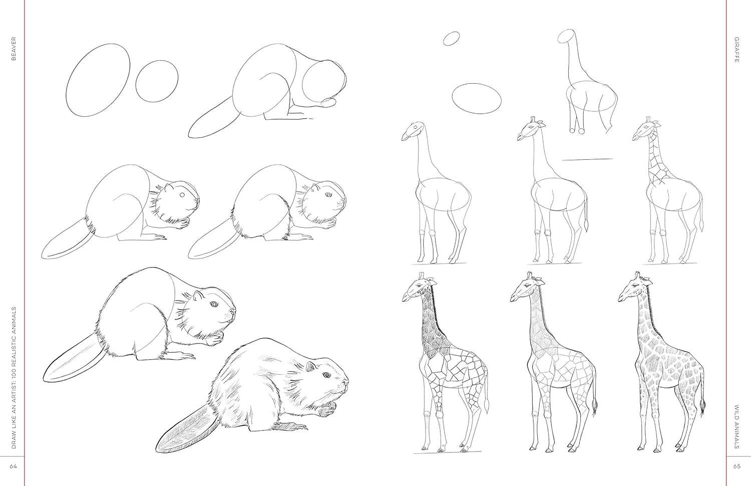 Draw Like An Artist: 100 Realistic Animals - Washburn. Melissa 9781631598197_3_e53a9d87-7bf5-4e1e-b45d-b6a32a04bddb