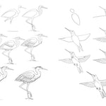 Draw Like An Artist: 100 Realistic Animals - Washburn. Melissa 9781631598197_4