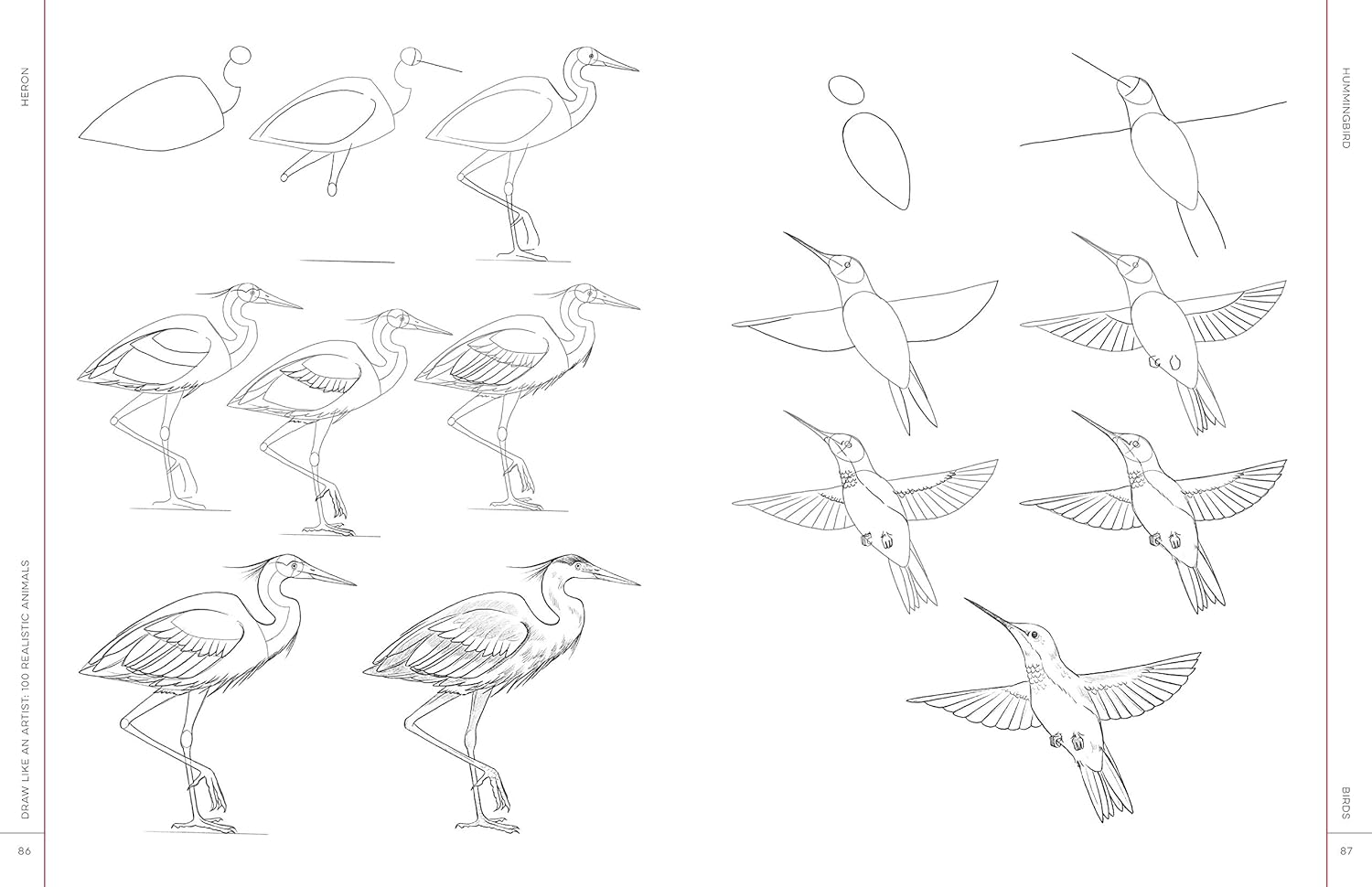 Draw Like An Artist: 100 Realistic Animals - Washburn. Melissa 9781631598197_4_eb4c11b1-3e71-494f-bece-d533ab41f489