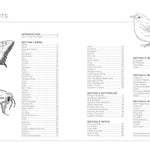Draw Like An Artist: 100 Birds, Butterflies, & Other Insects - Washburn. Melissa 9781631599477_1