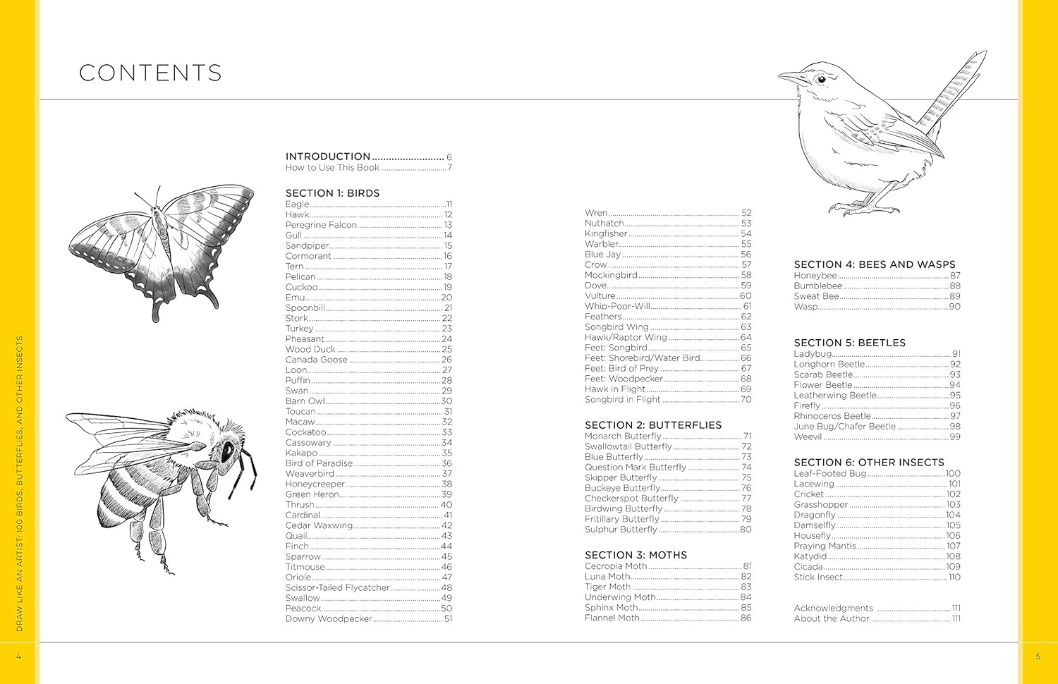 Draw Like An Artist: 100 Birds, Butterflies, & Other Insects - Washburn. Melissa 9781631599477_1_3f6776e3-90e6-4675-bebd-fb14f8a63cb3