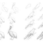 Draw Like An Artist: 100 Birds, Butterflies, & Other Insects - Washburn. Melissa 9781631599477_2