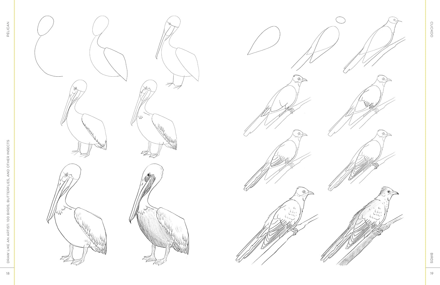Draw Like An Artist: 100 Birds, Butterflies, & Other Insects - Washburn. Melissa 9781631599477_2_71f7a46a-8108-48cd-97c1-adfc1d8a1d3e