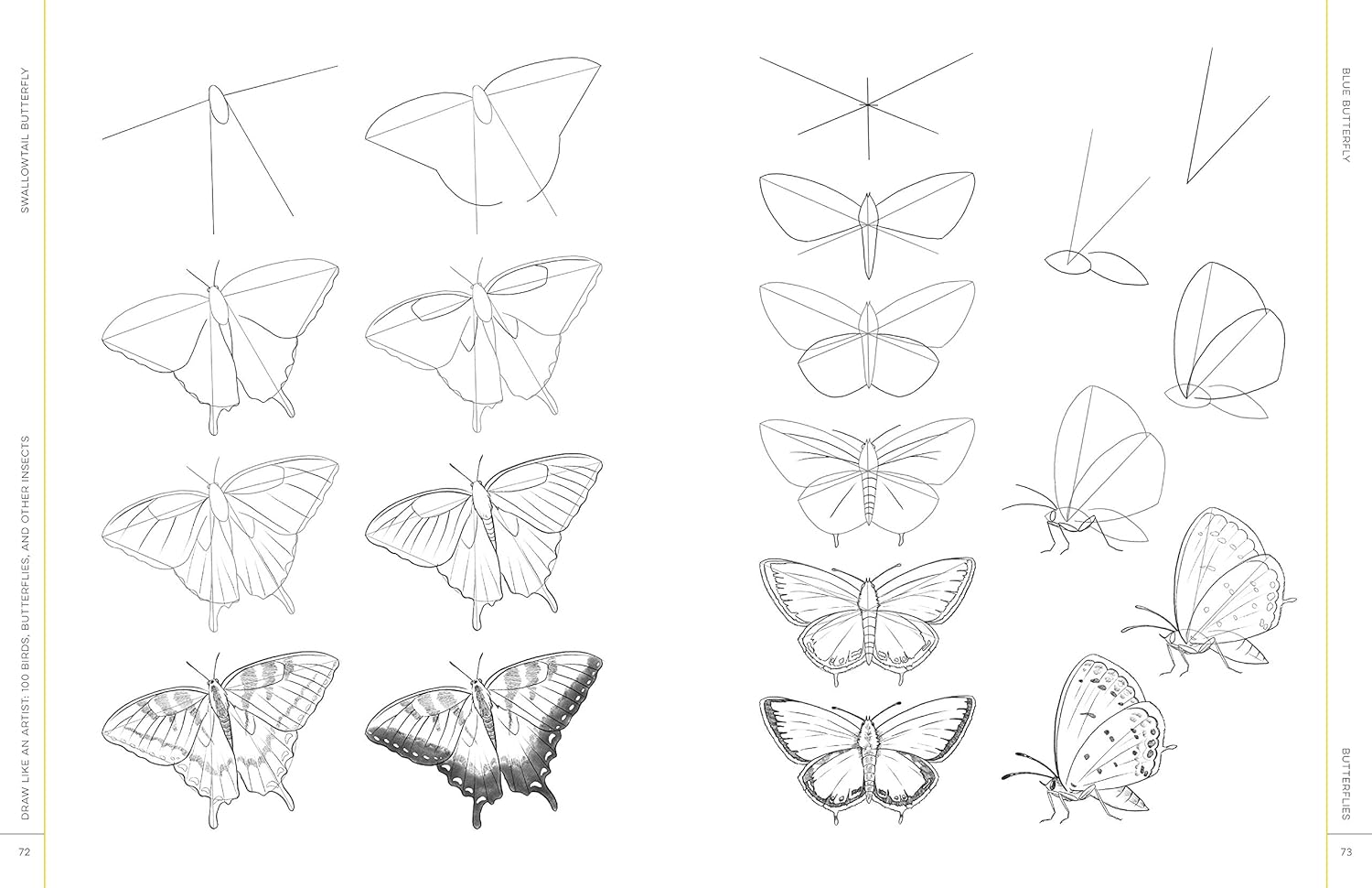 Draw Like An Artist: 100 Birds, Butterflies, & Other Insects - Washburn. Melissa 9781631599477_4